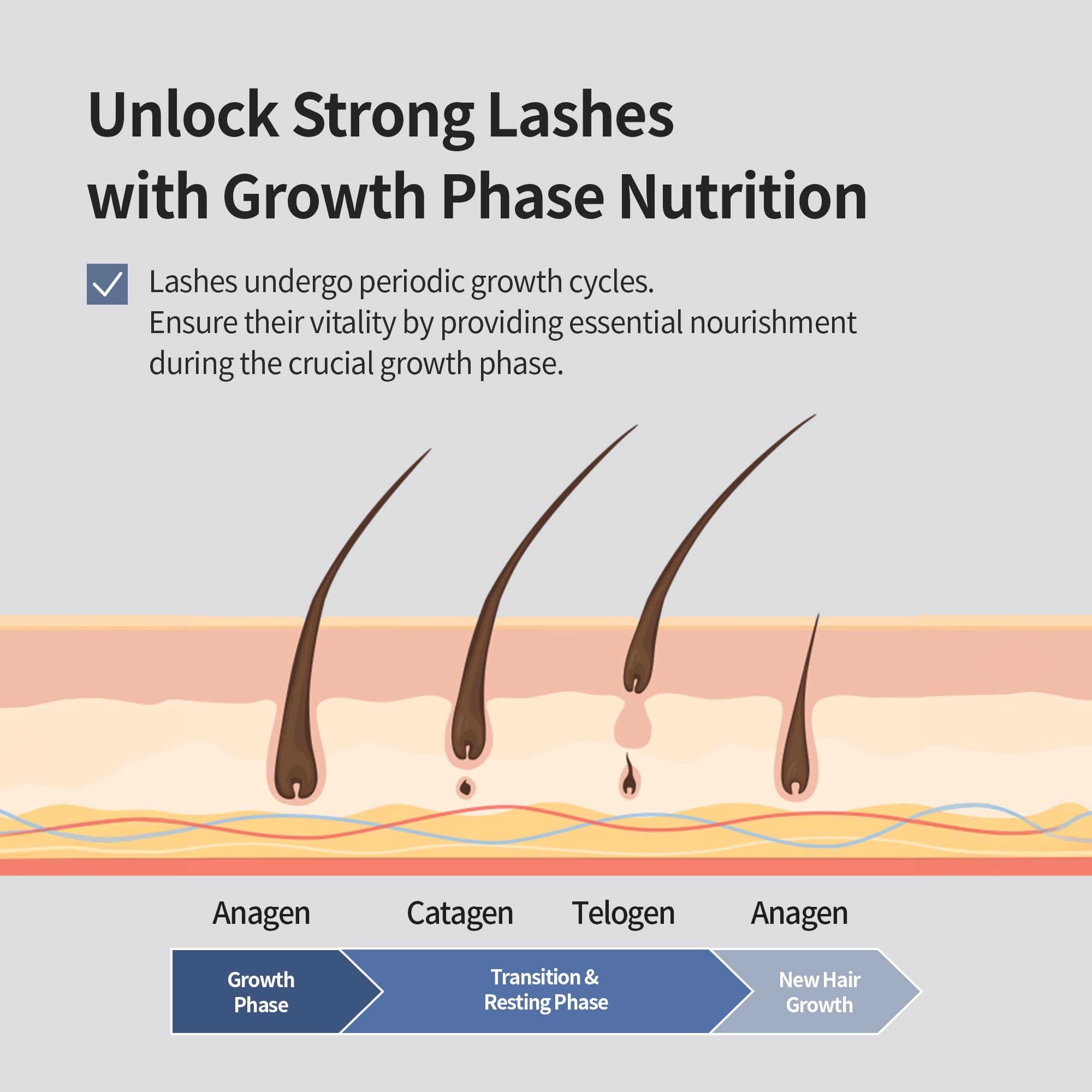 BENTON Honest Eyelash Serum eyebrow use alongside lash care