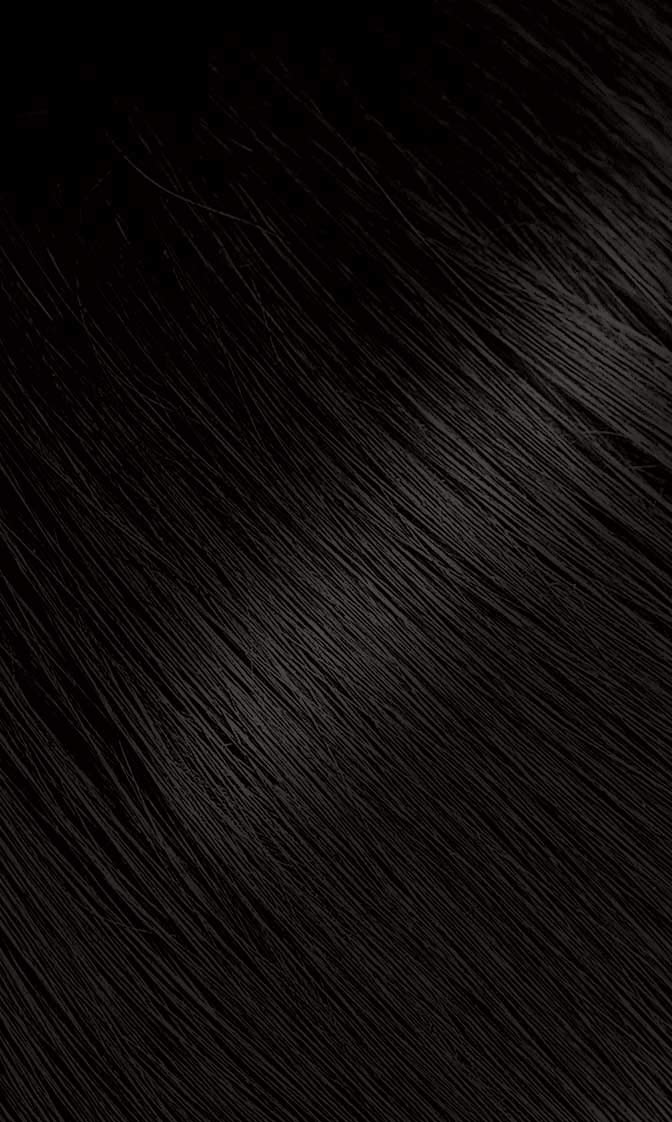 Bigen 57 dark brown powder being mixed with water for easy color application