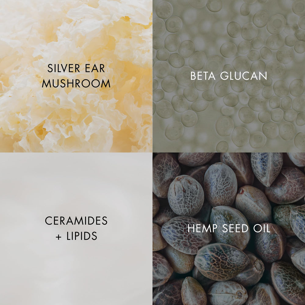 Bioelements Barrier Fix ingredients highlights ceramides and plant glucosides benefits