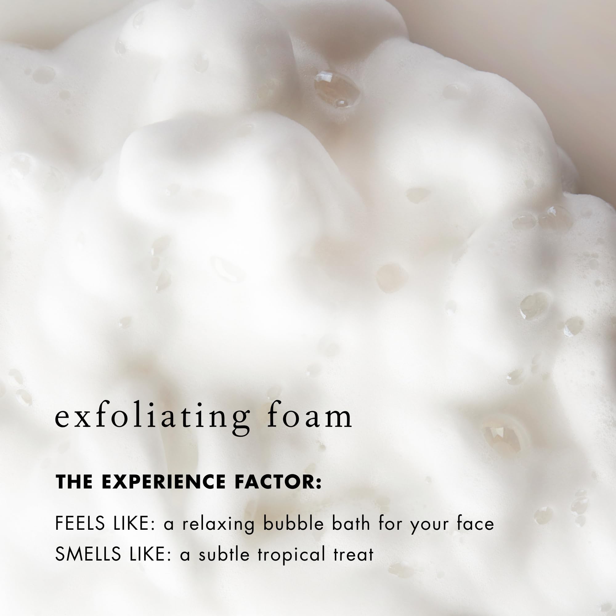 Bioelements Flash Foam Cleanser enzyme ingredients illustrate pumpkin, papaya, pineapple