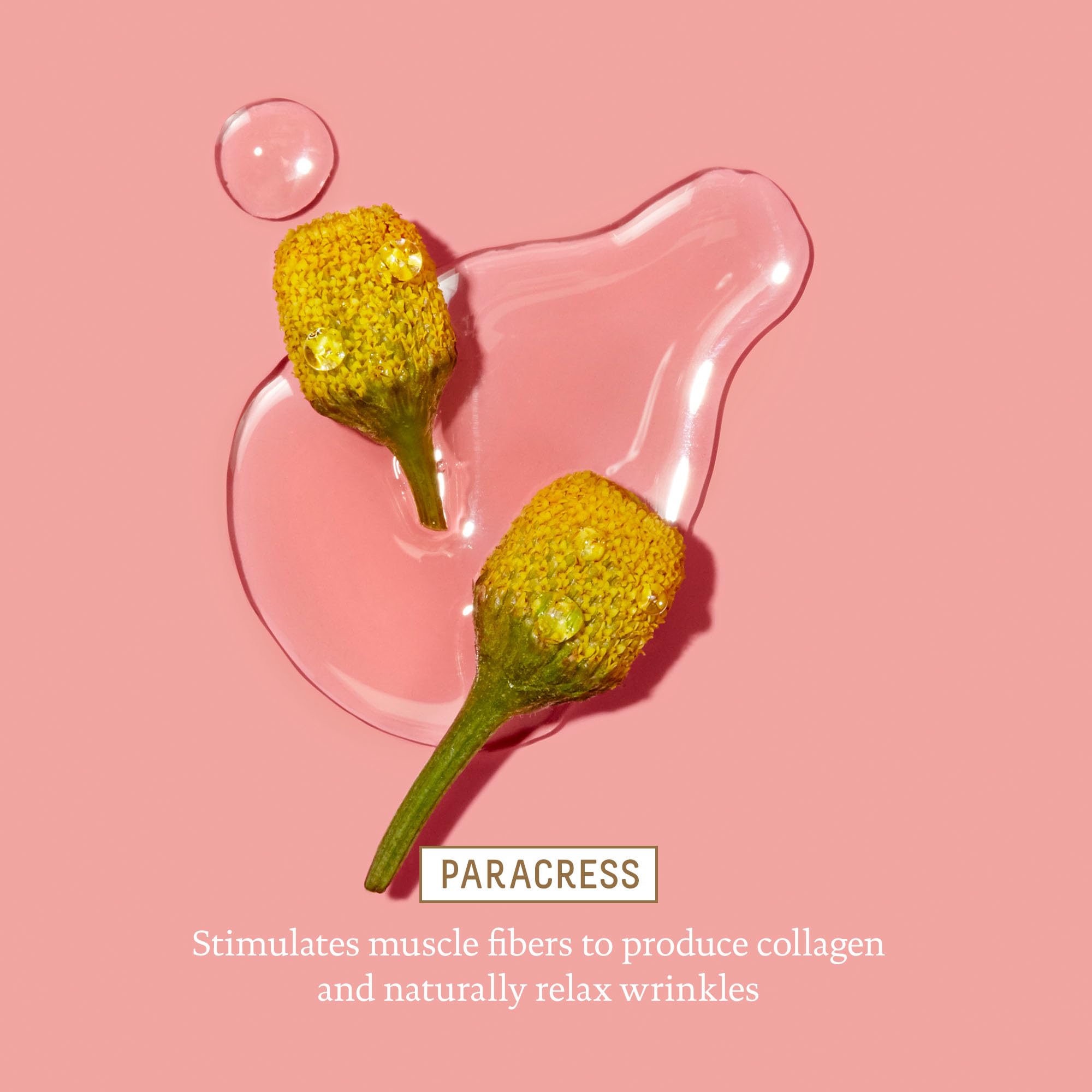 BIOSSANCE marine algae closeup shows smoothing of fine lines and wrinkles