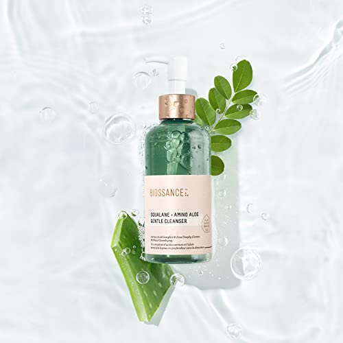 BIOSSANCE Squalane + Amino Aloe foaming-lather cleanses makeup gently.