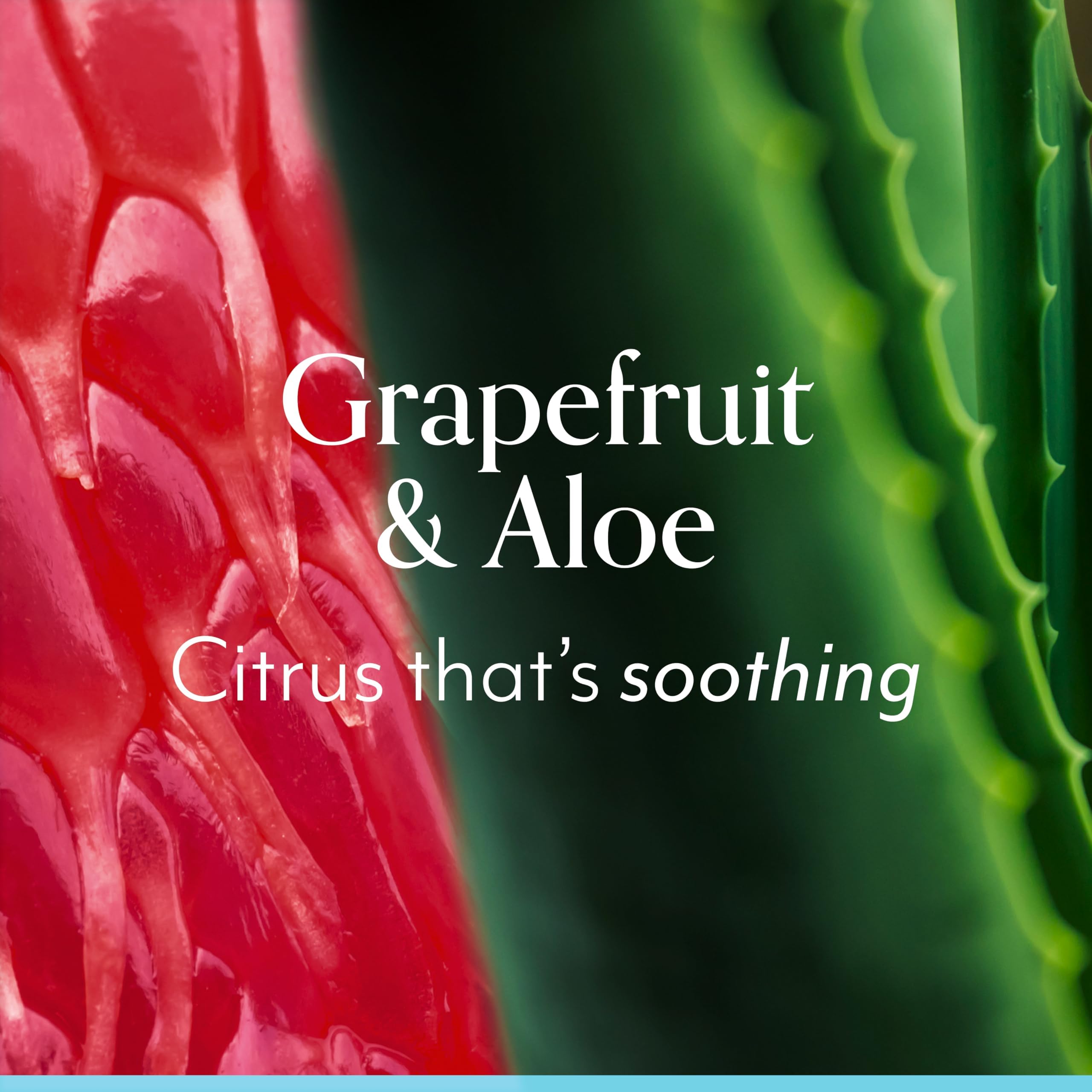 Bliss Body Butter grapefruit-aloe ingredients reveal vitamin E and shea benefits.