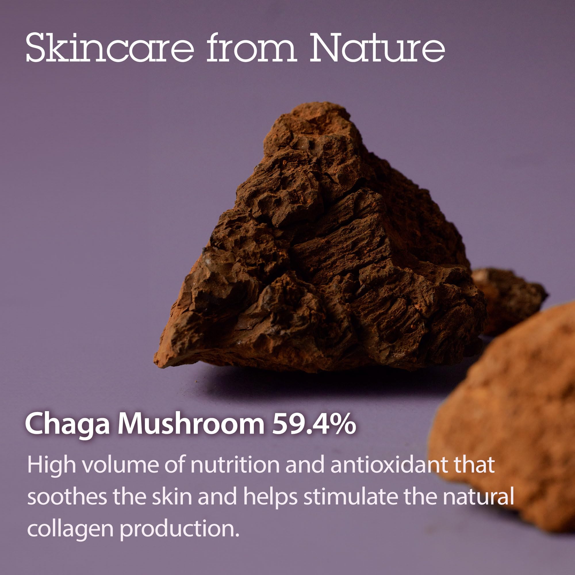 Packaging of BLITHE Tundra Chaga pressed serum with gold cap