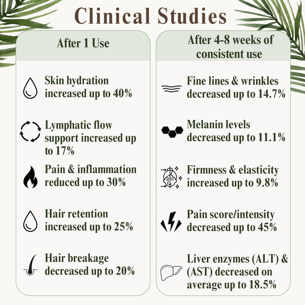 Palma Christi oil nourishes skin, hair, and nails imagery