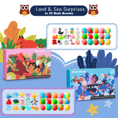BloomFizzy dual-box packaging highlights land and sea themes for discovery.