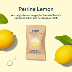 BLUELAND Perrine Lemon scent foam shows refreshing citrus-aromatic hand wash.