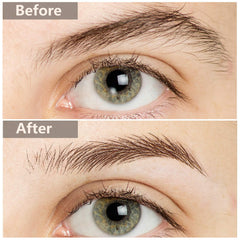 Blulu arch-style brow transfers deliver defined arch shapes for polished looks