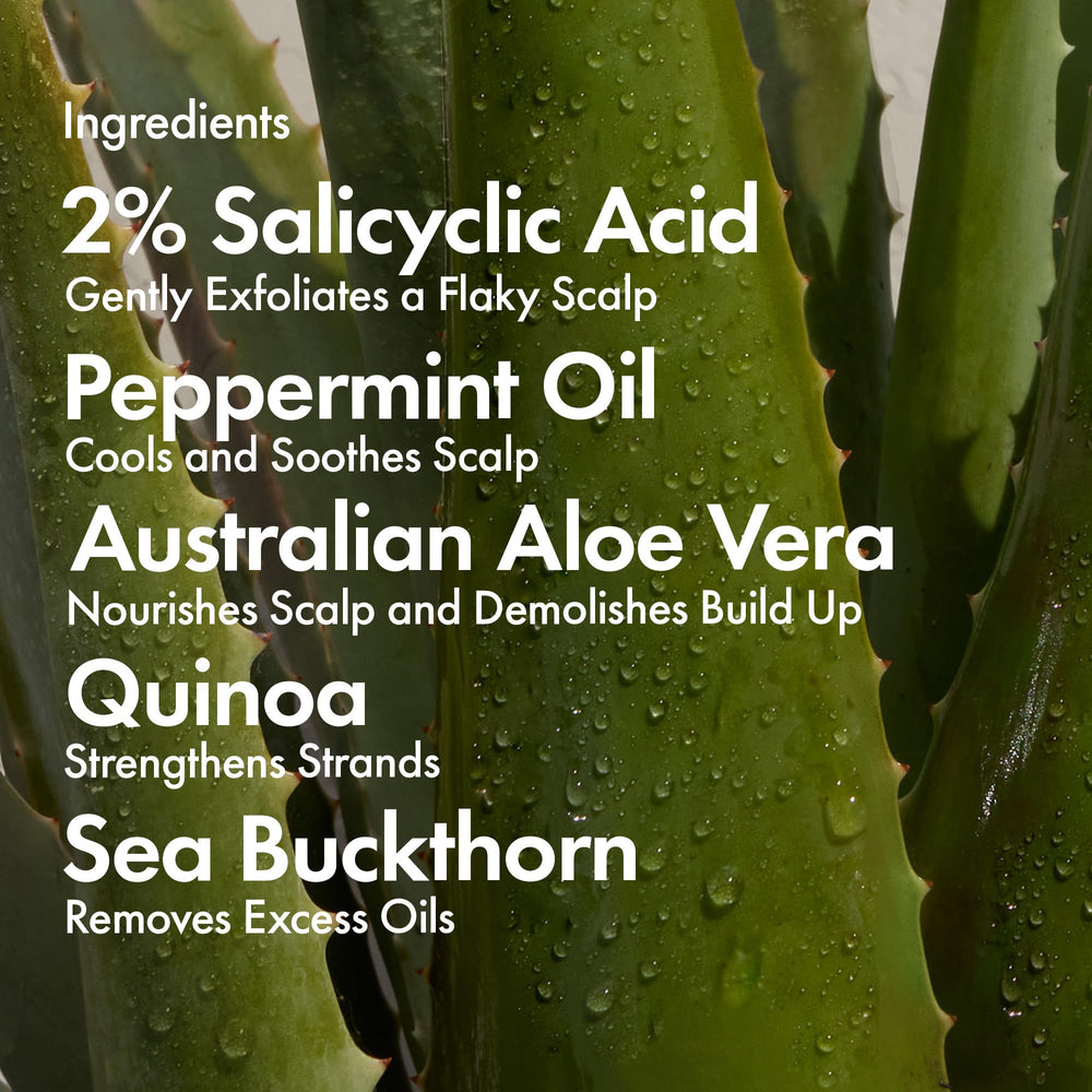 Bondiboost bottle with aloe-based formula conveys soothing hydration for all hair types.