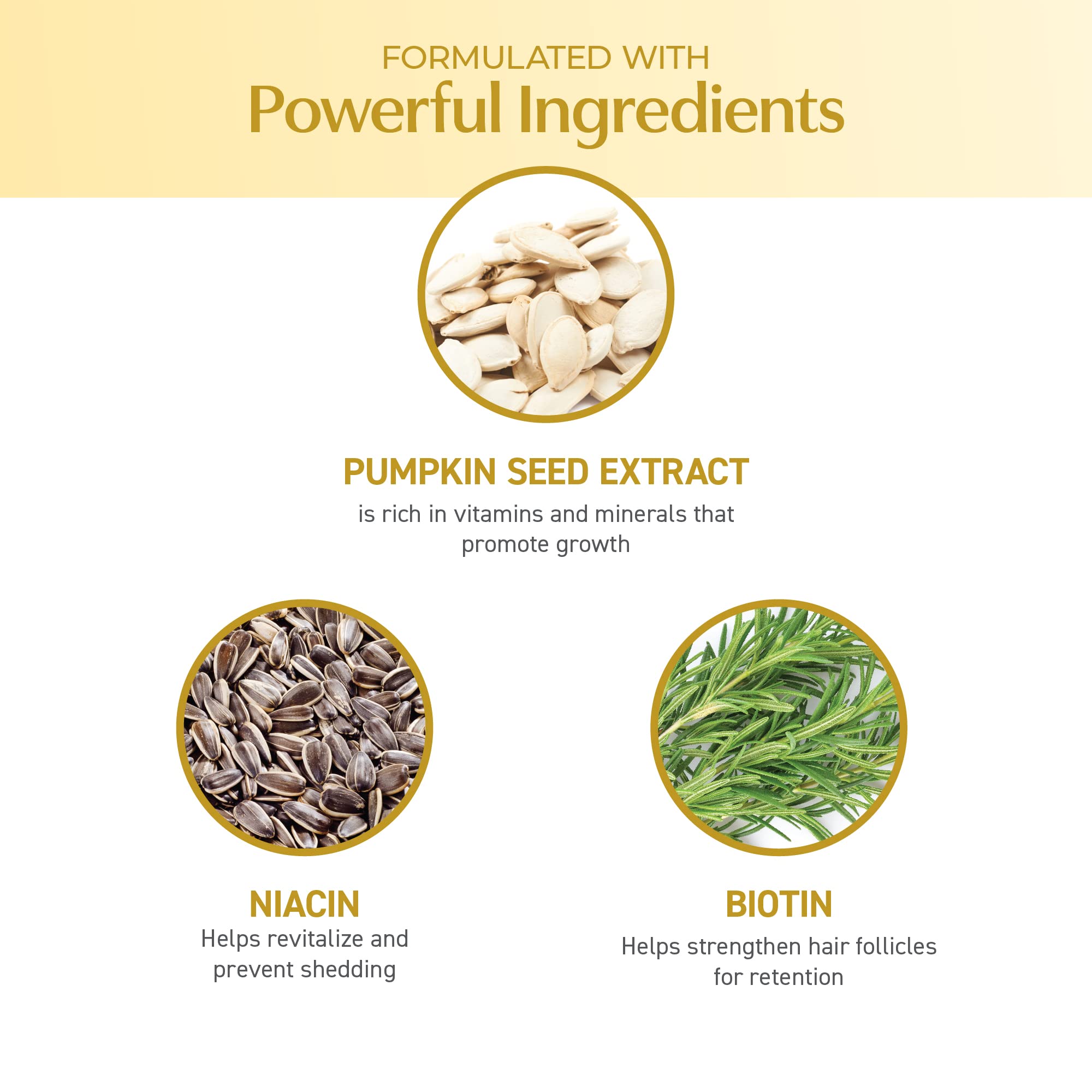 BosDefense Pumpkin Seed Extract illustration highlights natural DHT-blocking ingredient.