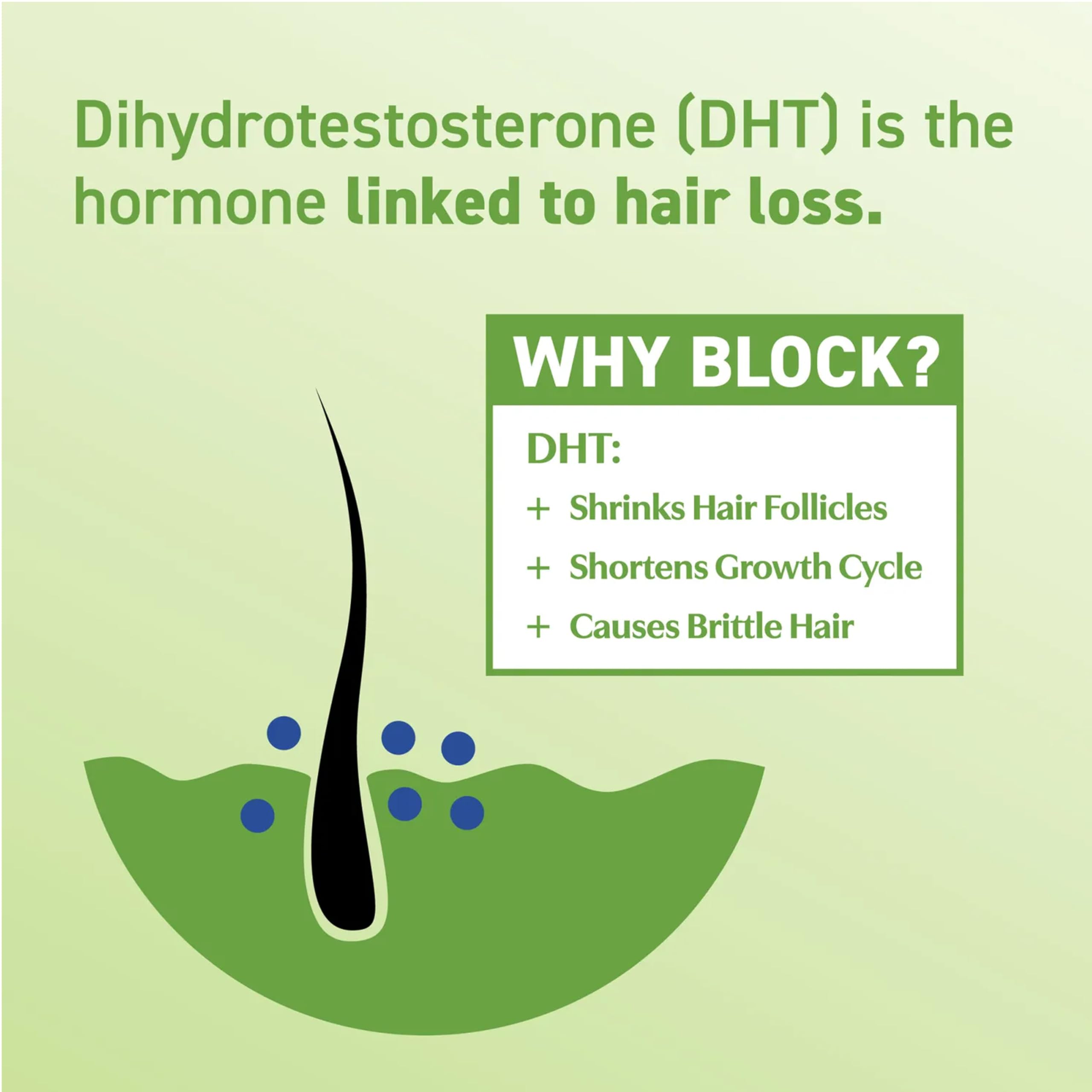 BosleyMD DHT-7 hair routine scene supports daily hair-health care.