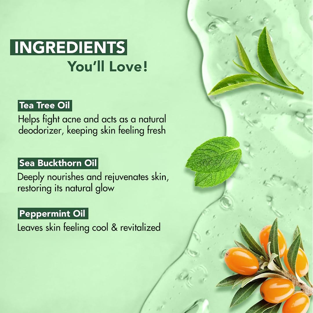 Botanic Hearth Tea Tree Body Wash pack-of-2 image showing convenient duo for home care