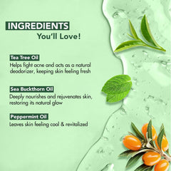 Botanic Hearth Tea Tree Body Wash pack-of-2 image showing convenient duo for home care
