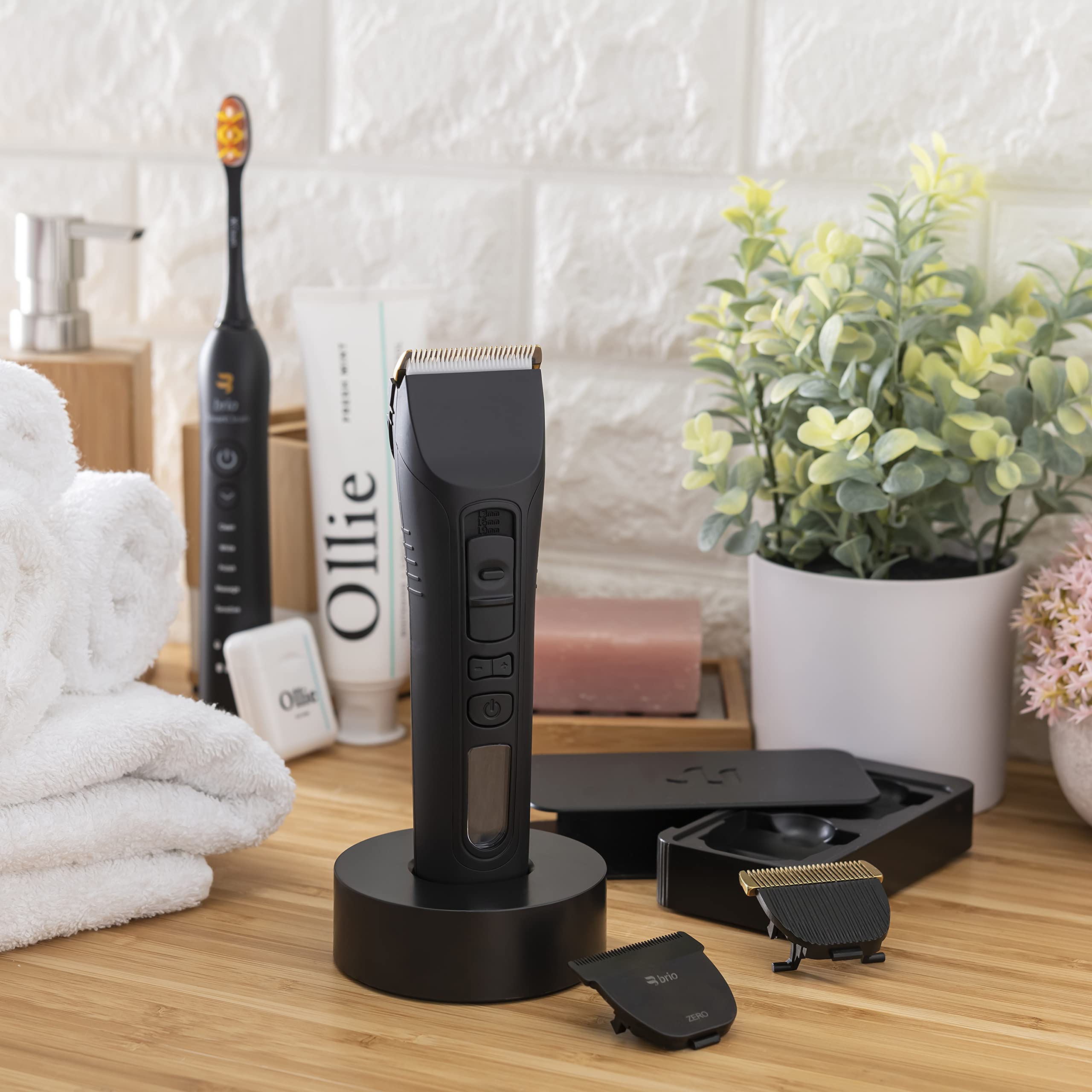 Brio Beardscape V1 two-year warranty and Brio support