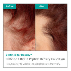Briogeo Destined For Density mid-lengths application for even coverage on fine hair