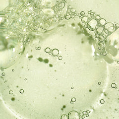 Briogeo close-up of matcha apple ingredients highlighting antioxidants