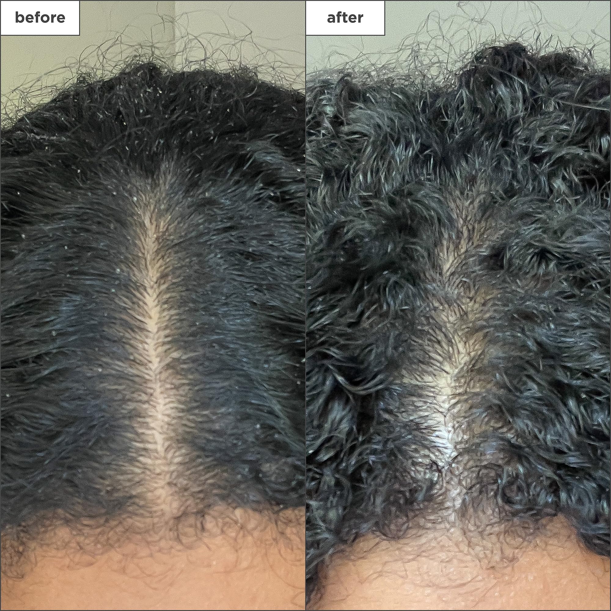 Briogeo Scalp Revival binchotan charcoal absorption highlights impurity detox
