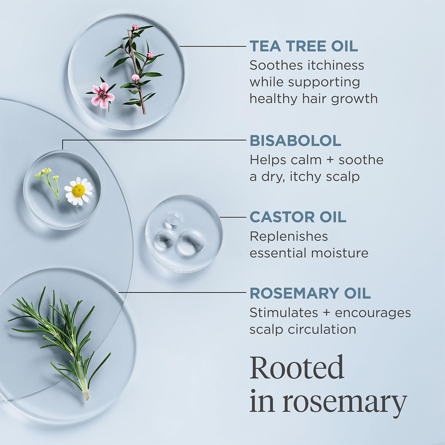 Briogeo Scalp Revival Rosemary Pre-Wash Oil on hair shaft suggests moisture replenishment and softness.