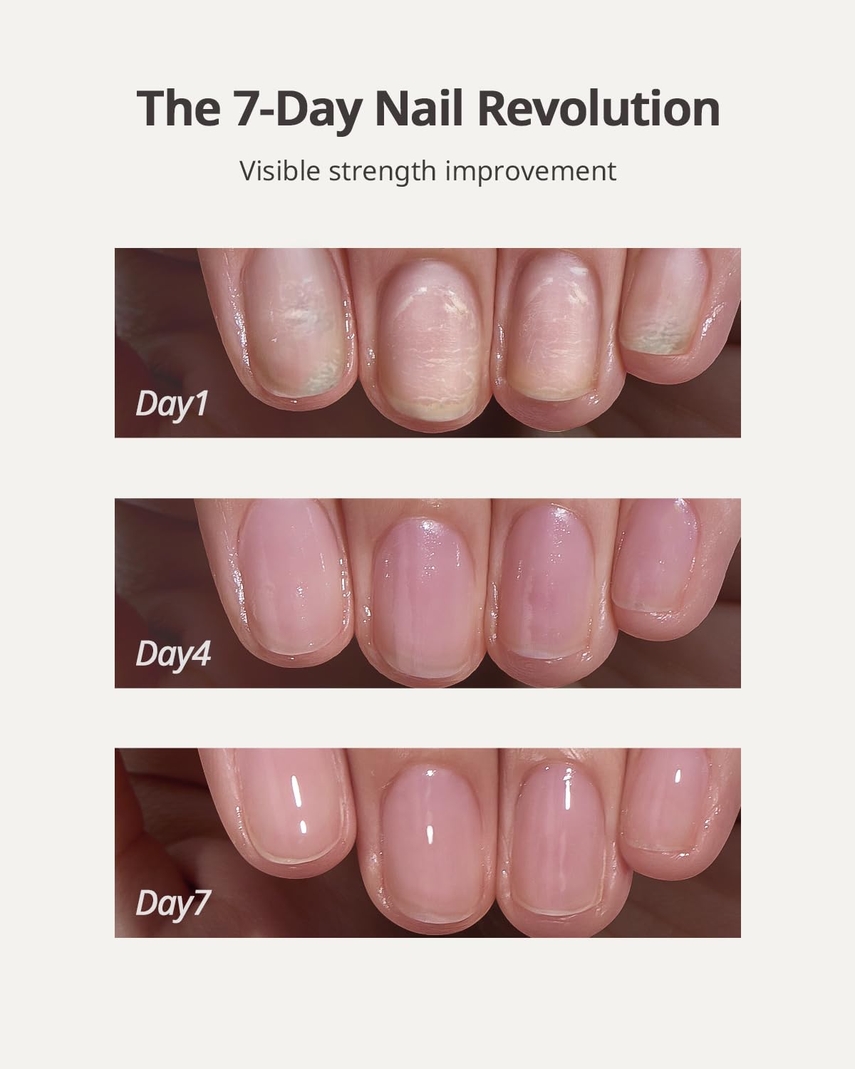 BTArtboxNails Naillush brush applicator for precise daily use