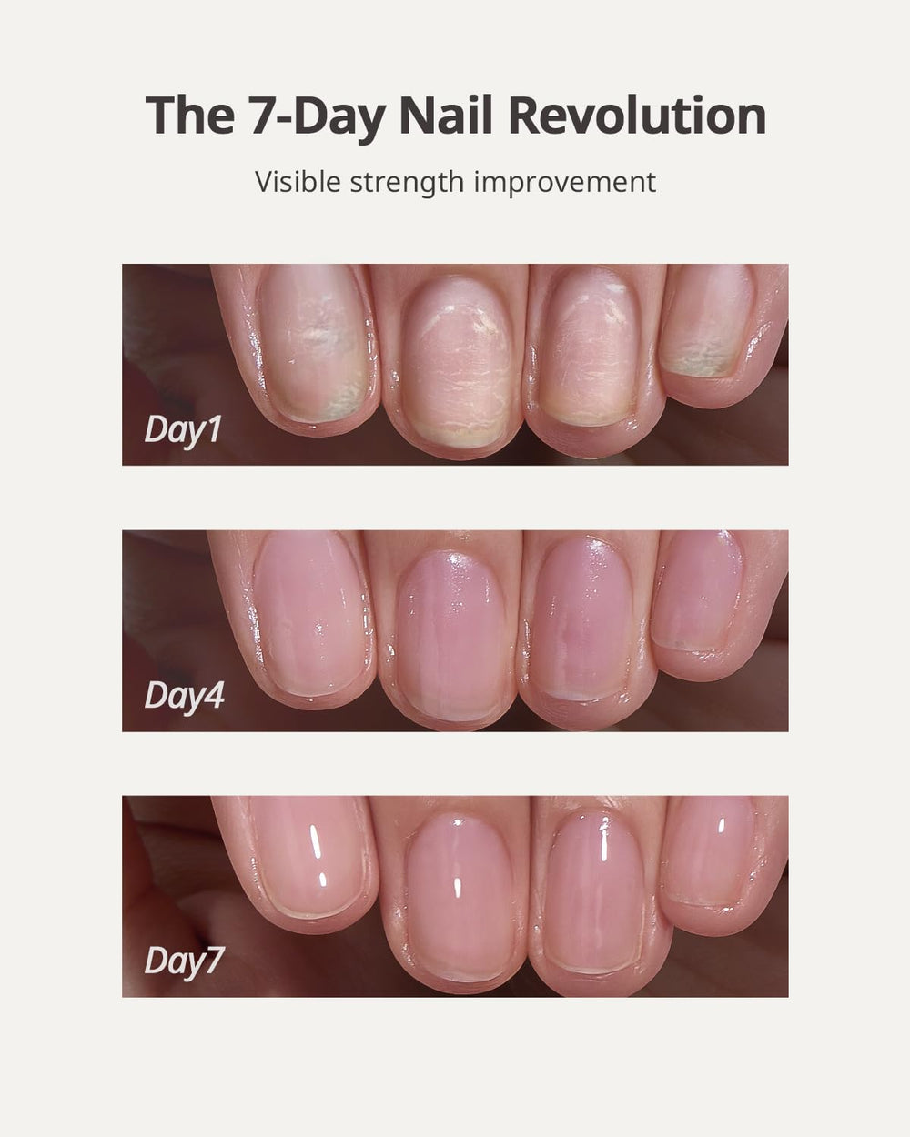 BTArtboxNails Naillush brush applicator for precise daily use