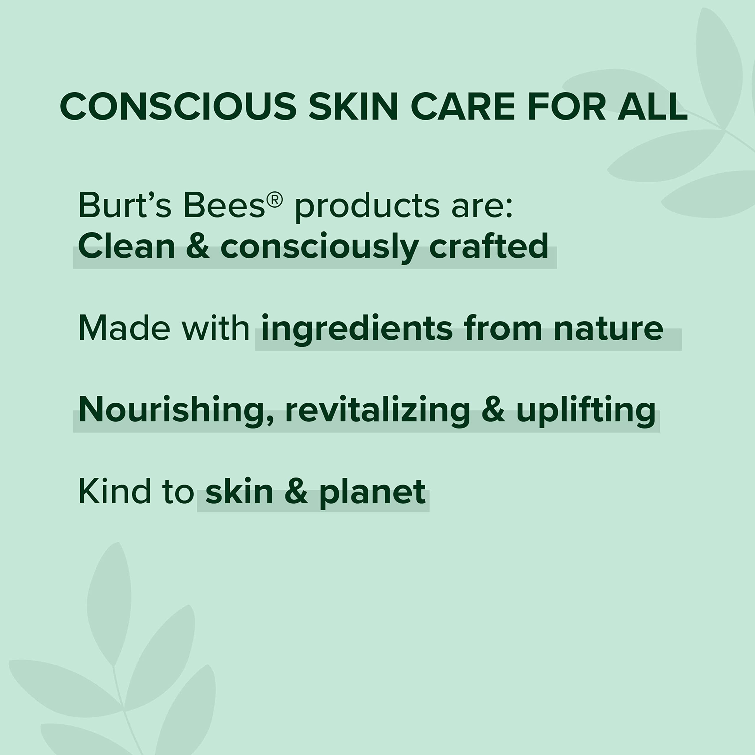 Burt's Bees Butter Body Lotion packaging variation shown