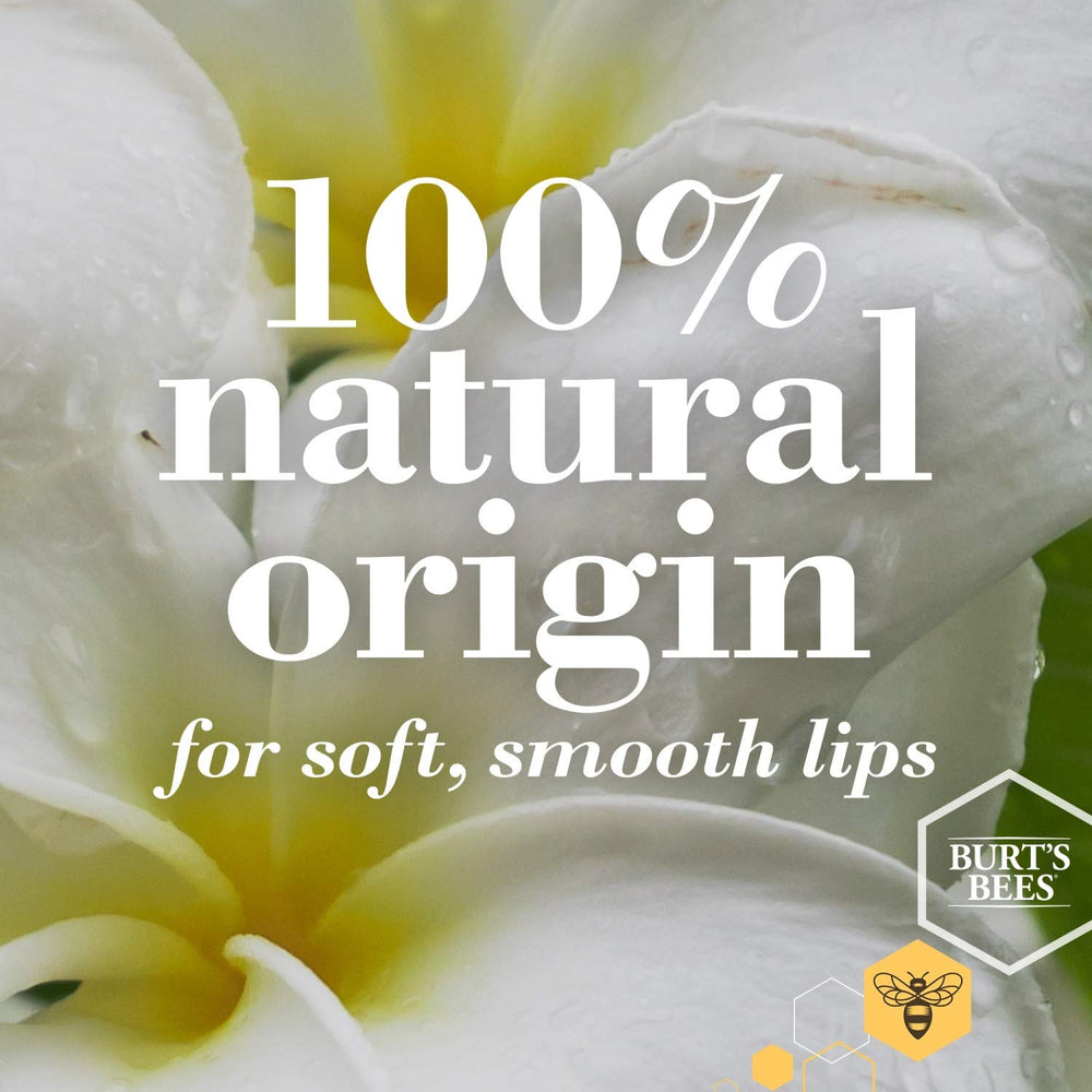 Burt's Bees lip shine packaging demonstrates recyclable materials for eco-conscious beauty