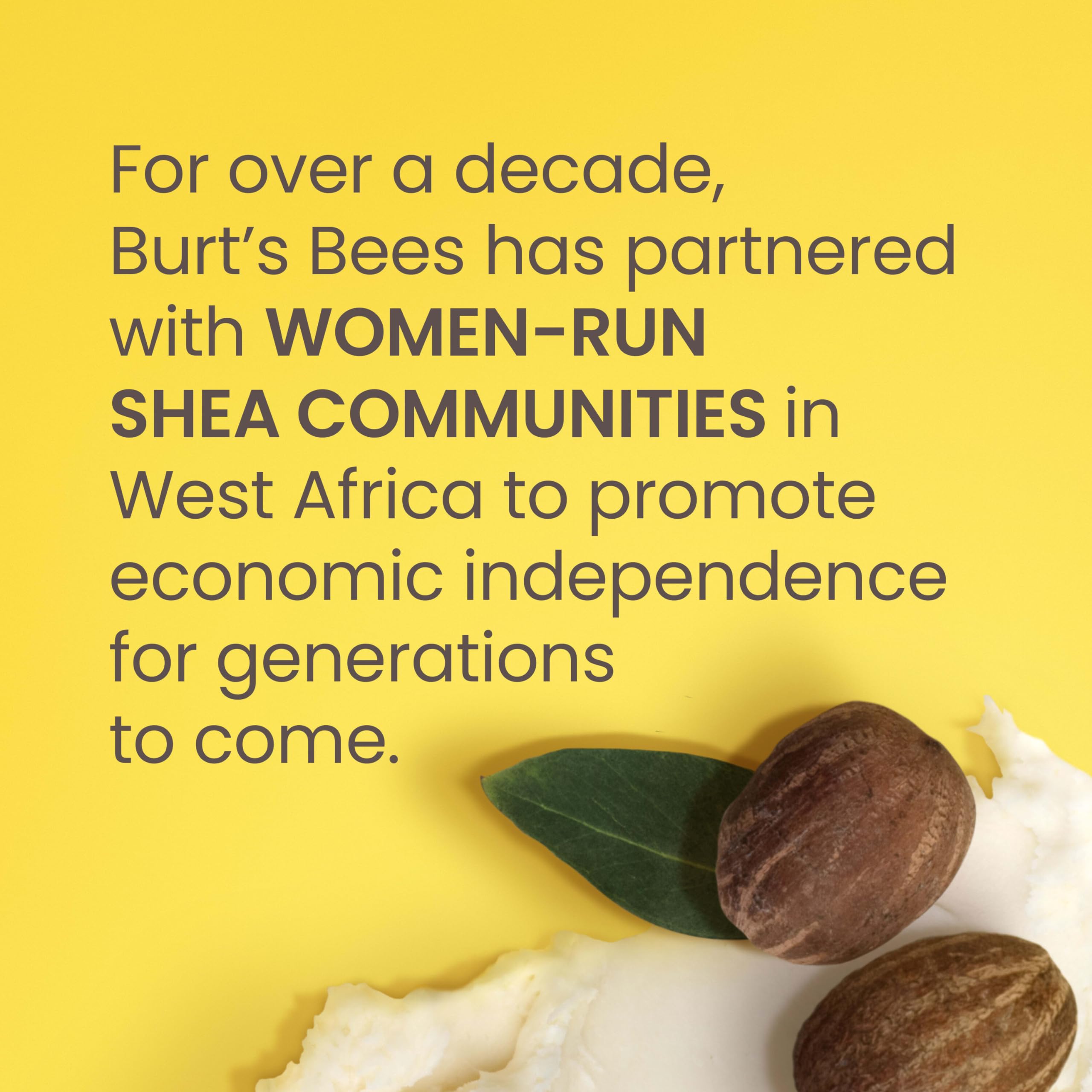 Burt's Bees ingredients label showing beeswax shea aloe benefits.