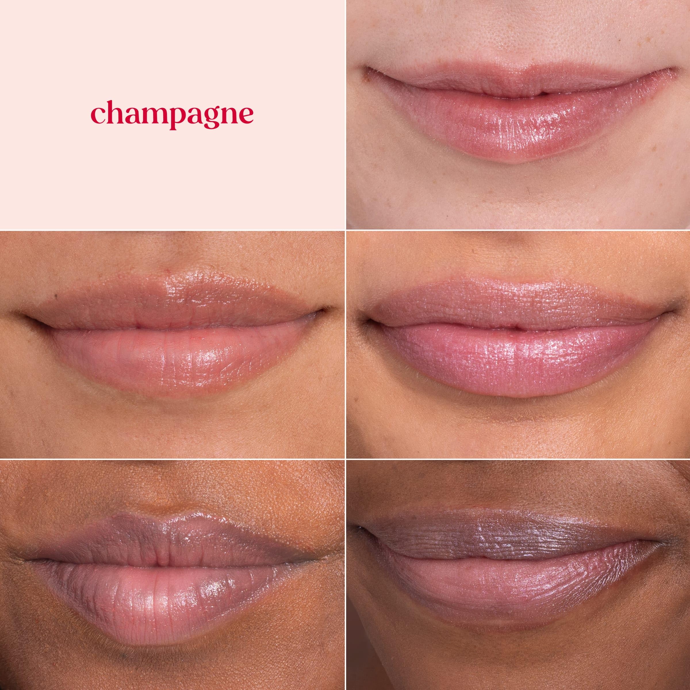 Burt's Bees Shea and Cocoa Butter provide lasting hydration in lip care.