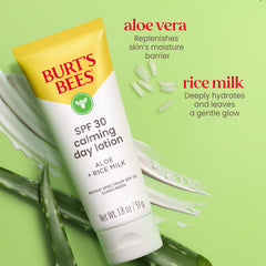 Burt's Bees Calming Day Lotion with Aloe shows soothing redness reduction for dry skin.