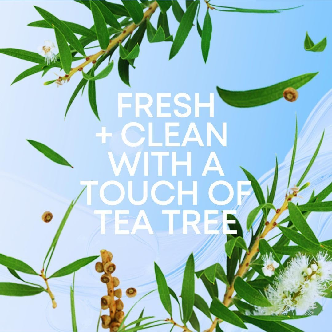 Bushbalm Nude Oil tea tree scent close-up.