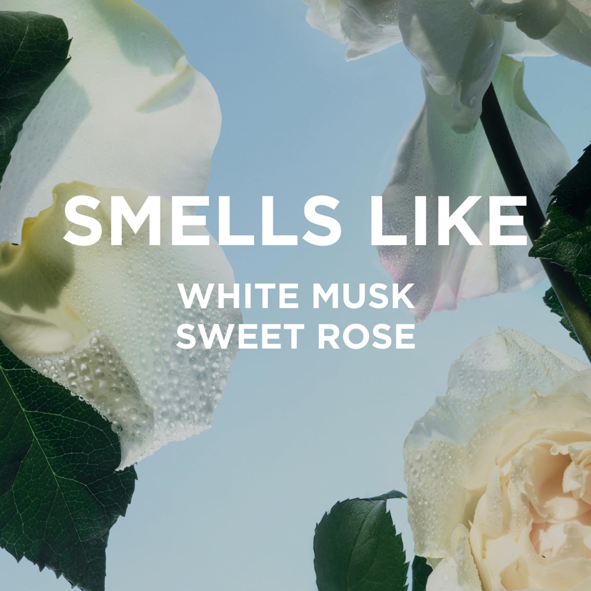 By Rosie Jane Rosie roll-on application, precise fragrance touch at pulse points.