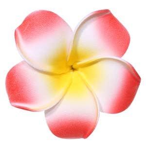 Calcifer plumeria orange clip bright pool party look