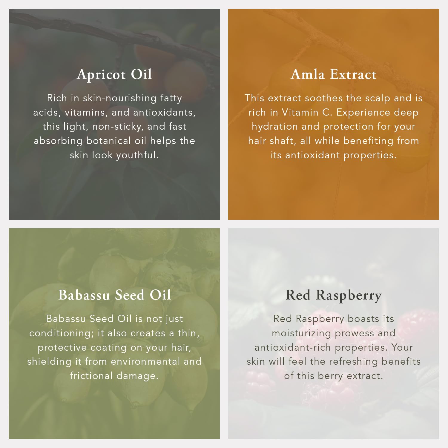 Caldera + Lab The Beard oil texture appears silky and easy to absorb.