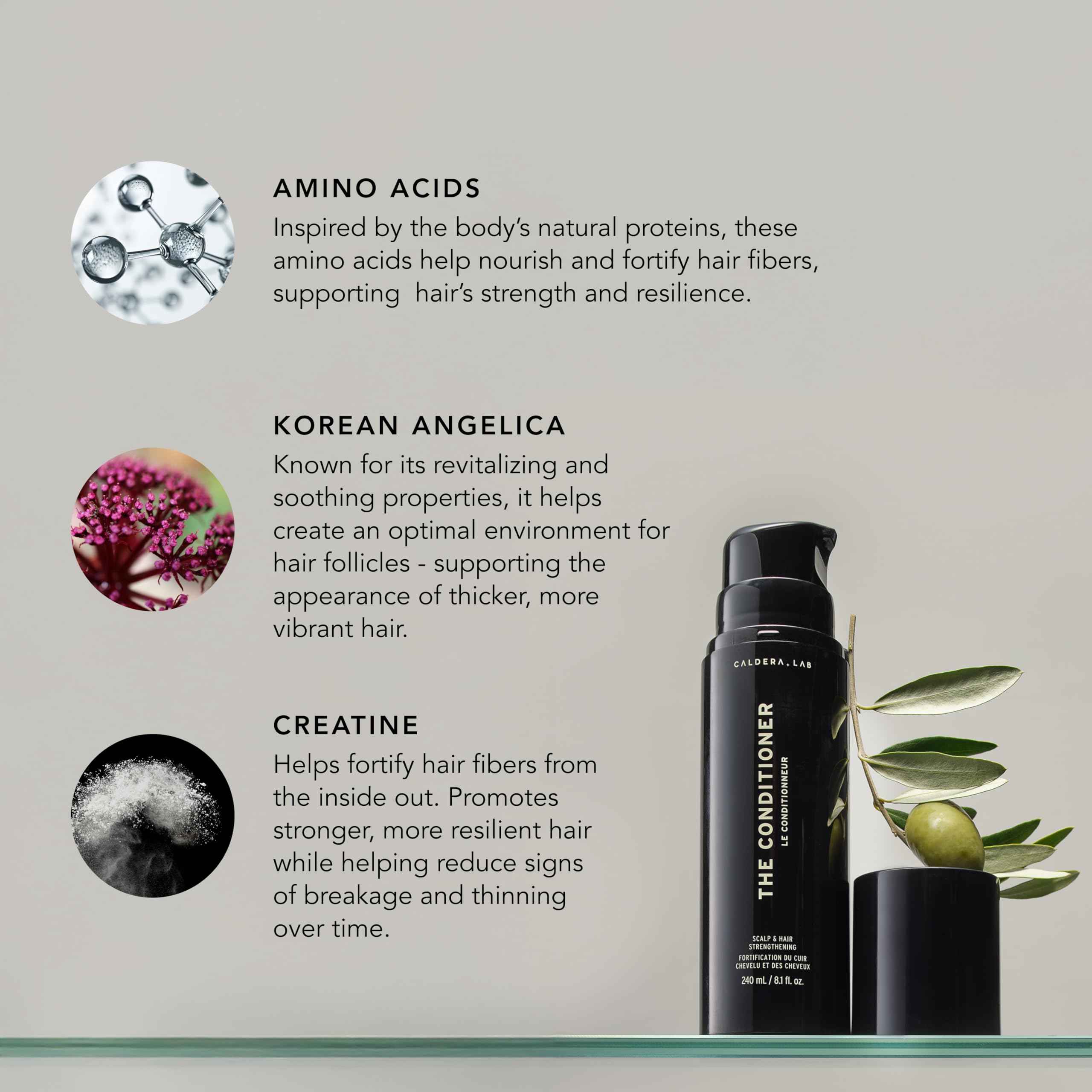Caldera + Lab The Conditioner ingredients Korean Angelica showcase moisture support and resilience.