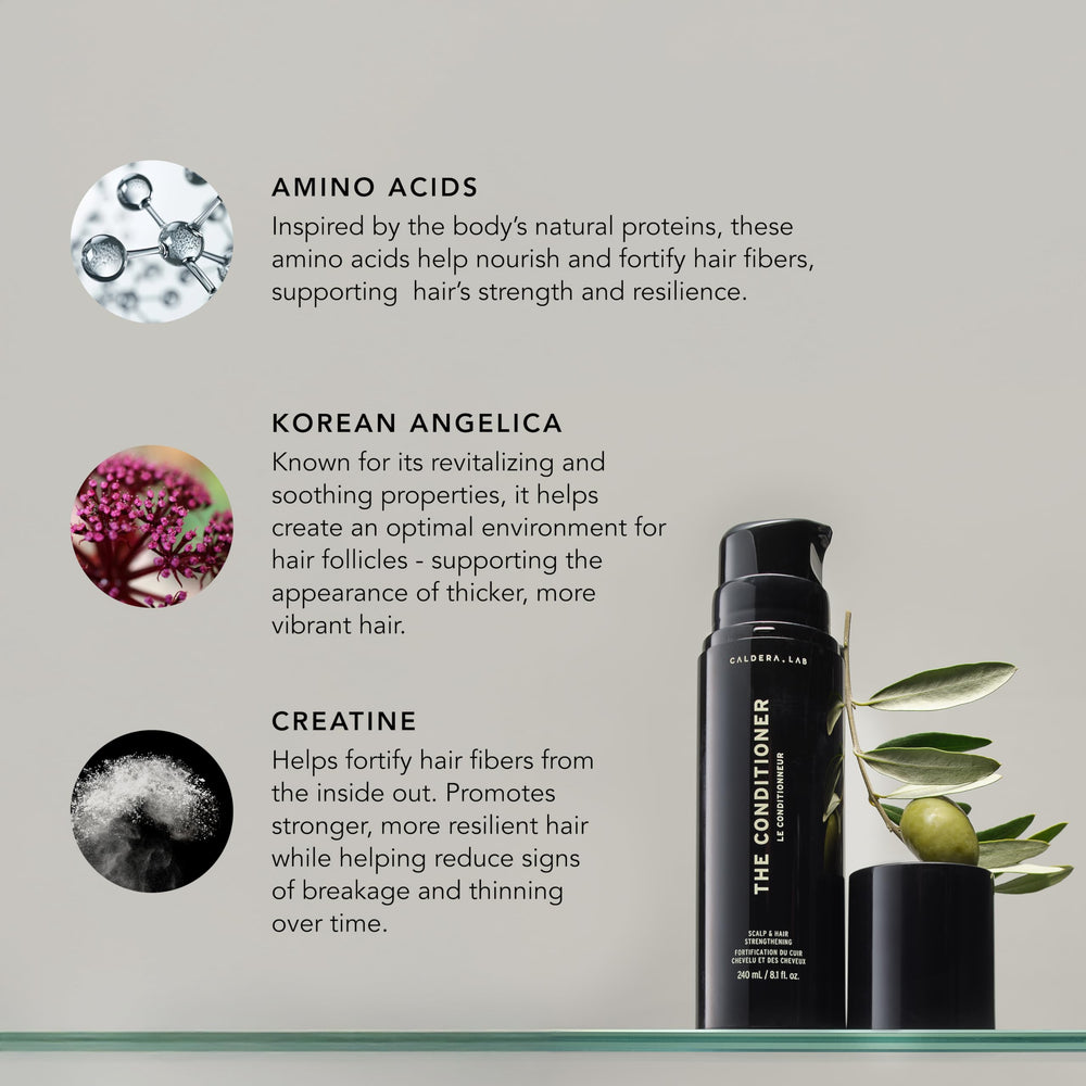 Caldera + Lab The Conditioner ingredients Korean Angelica showcase moisture support and resilience.