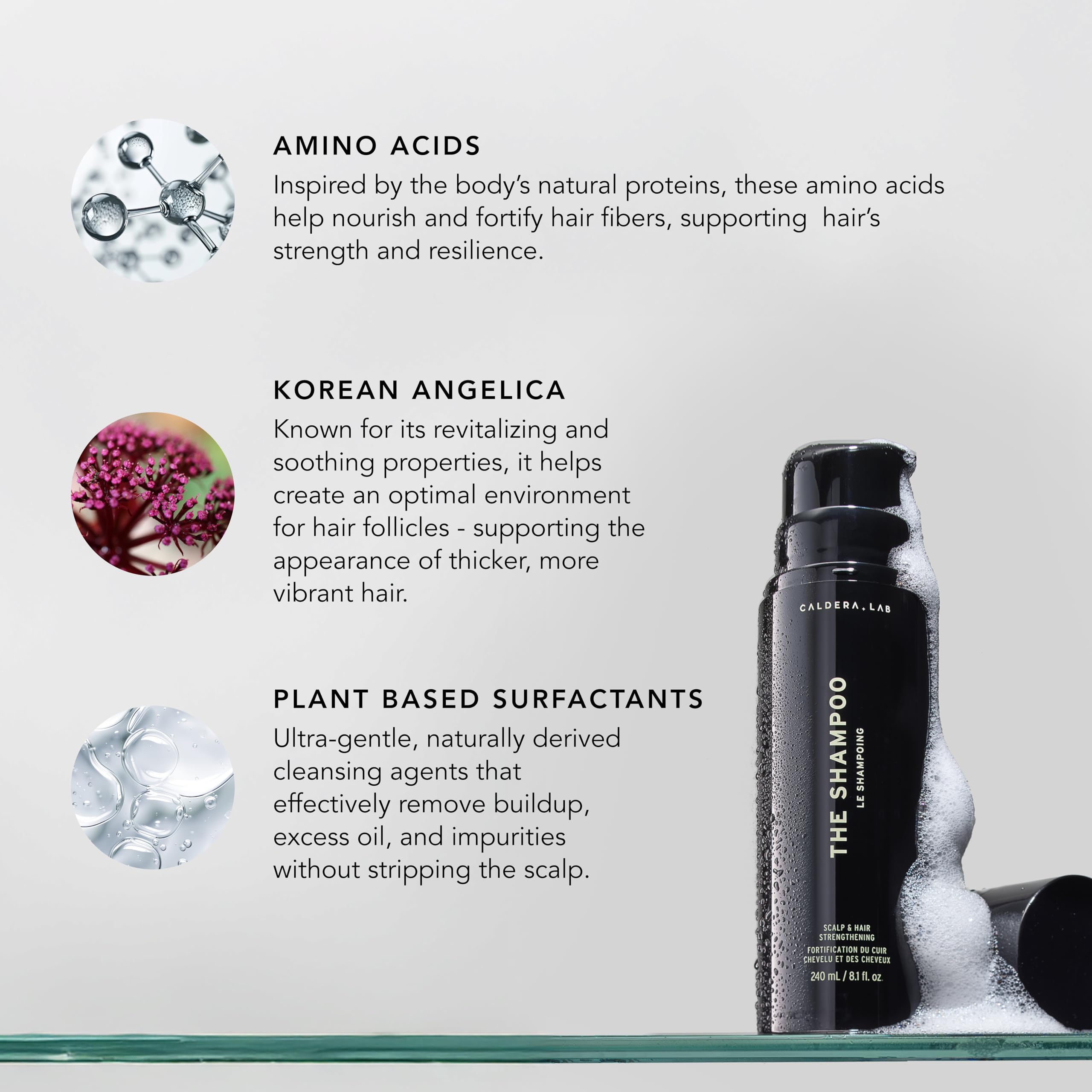 Caldera + Lab The Shampoo angelica botanicals close-up highlighting scalp comfort and vitality.
