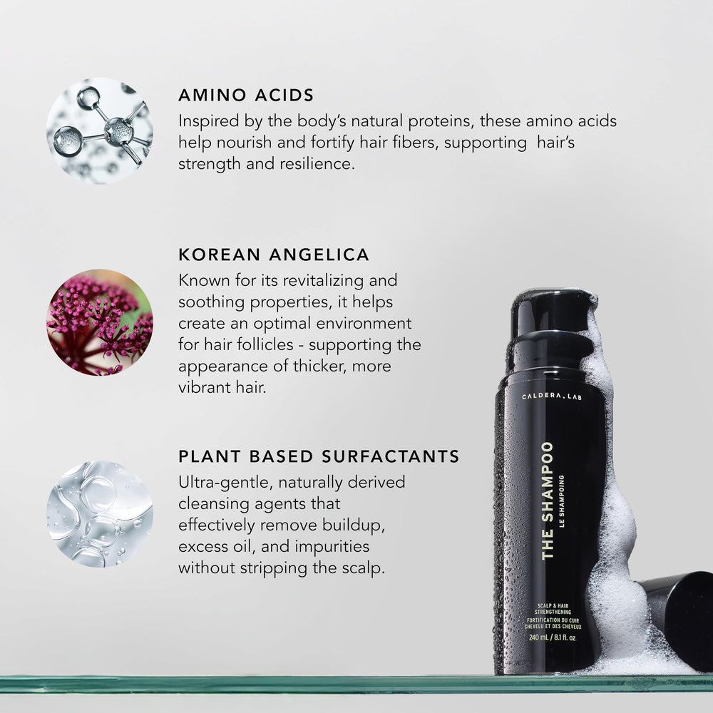 Caldera + Lab The Shampoo angelica botanicals close-up highlighting scalp comfort and vitality.