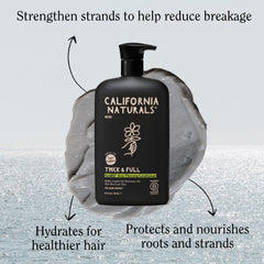 California Naturals Mens Re:GRO conditioner ingredients graphic highlights biotin and natural oils.