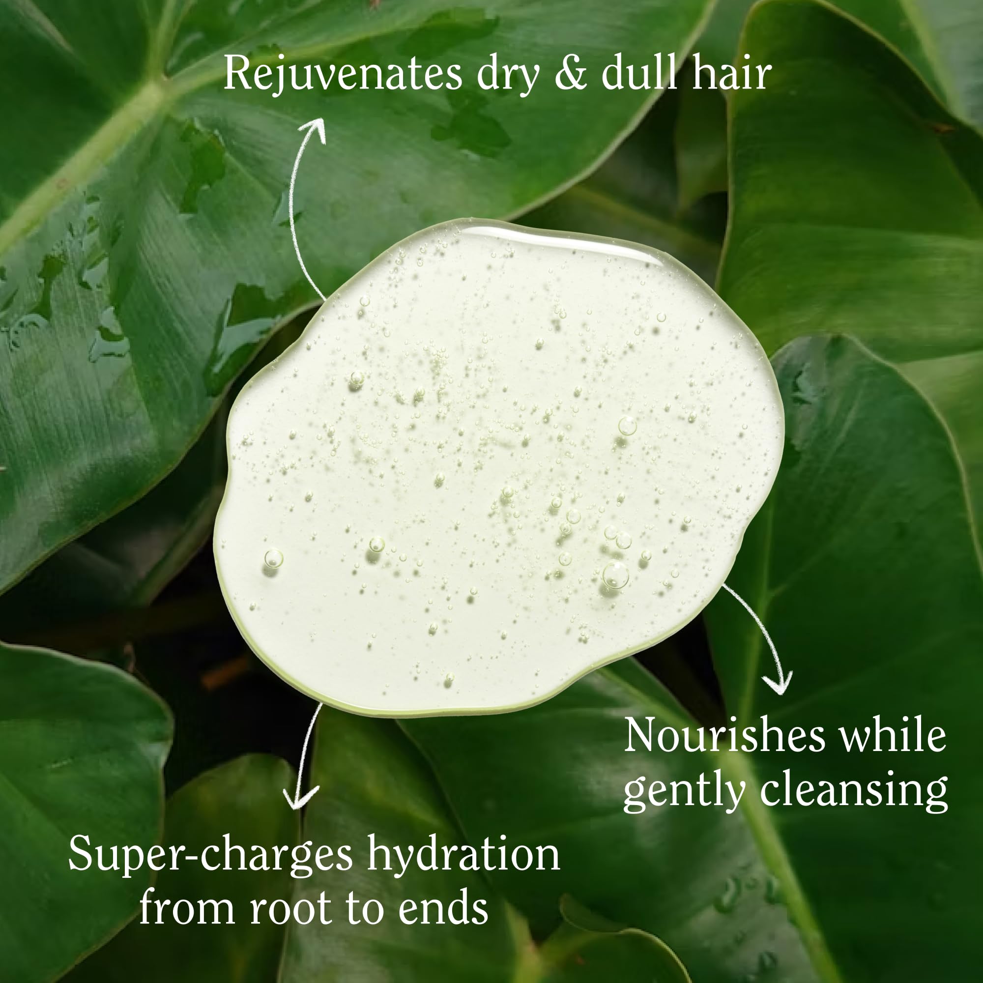 California Naturals Super Moisture Shampoo bottle side panel confirms vegan, sulfate-free formula