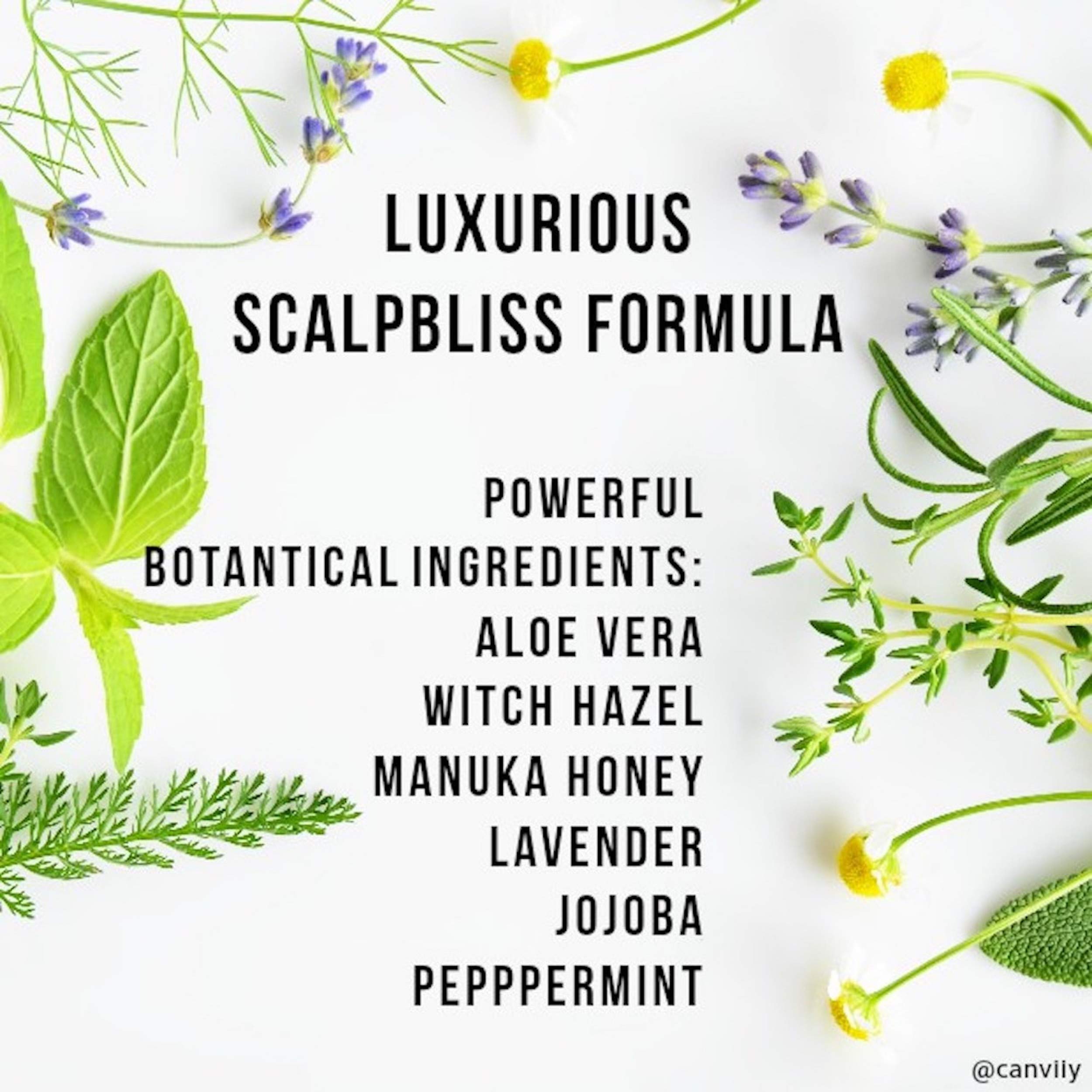 Canviiy ScalpBliss packaging highlighting organic ingredients