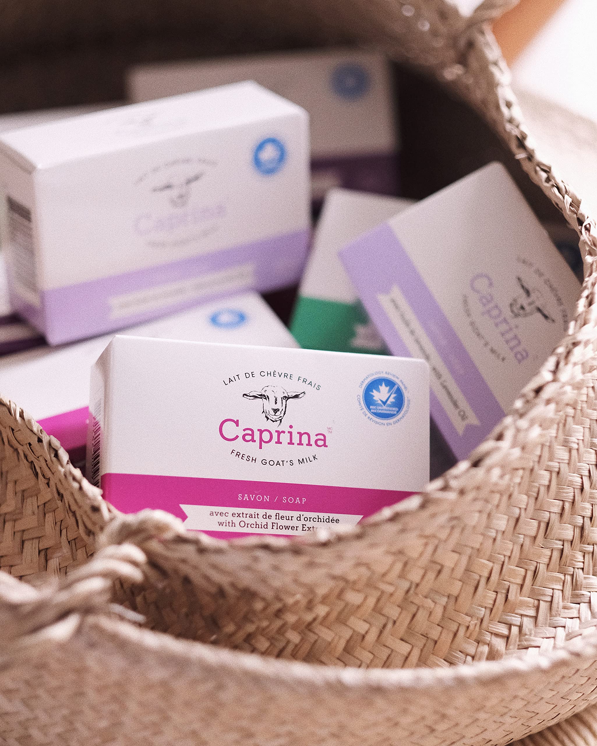 Caprina Goat Milk Soap Original 6-pack bars lined up with classic clean scent.
