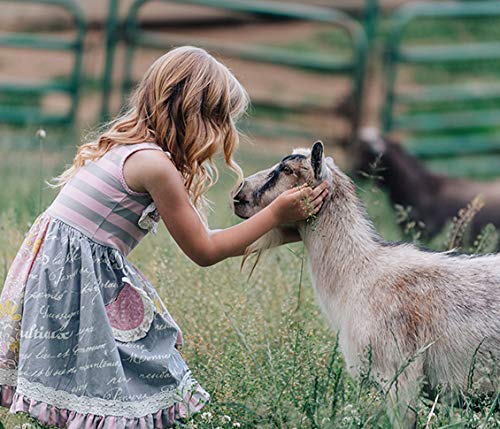 Caprina local farm goat milk sourcing image showing fresh ingredients