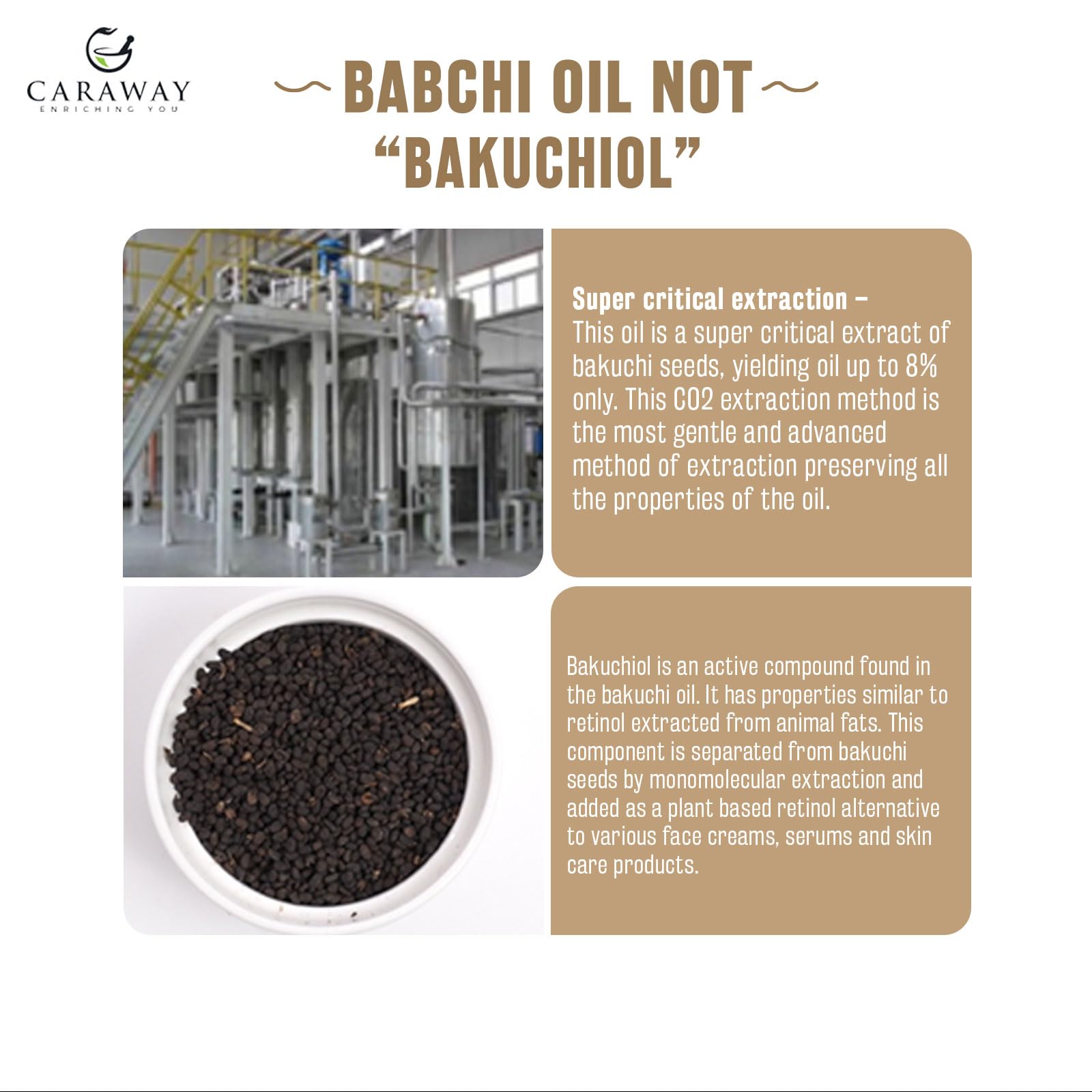 CARAWAY Bakuchi Oil application—apply diluted to support redness-friendly routine.