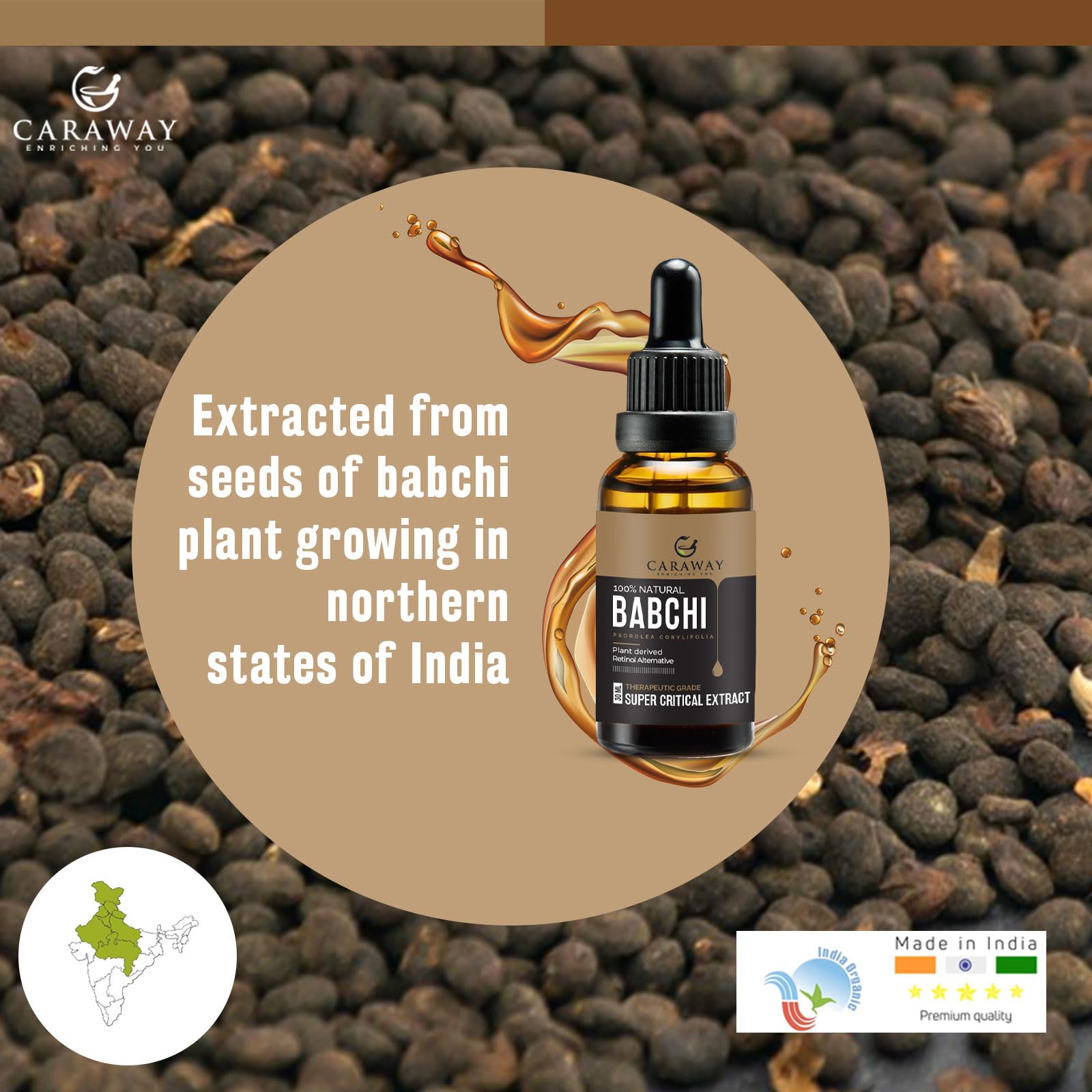 CARAWAY Bakuchi Oil seeds—natural origins behind pigmentation-focused skincare.