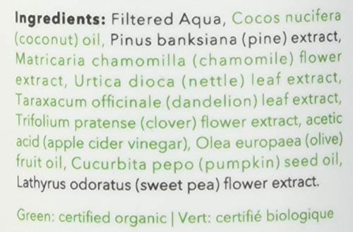 Carina Organics Sweet Pea leave-in conditioner packaging showcasing sustainability.