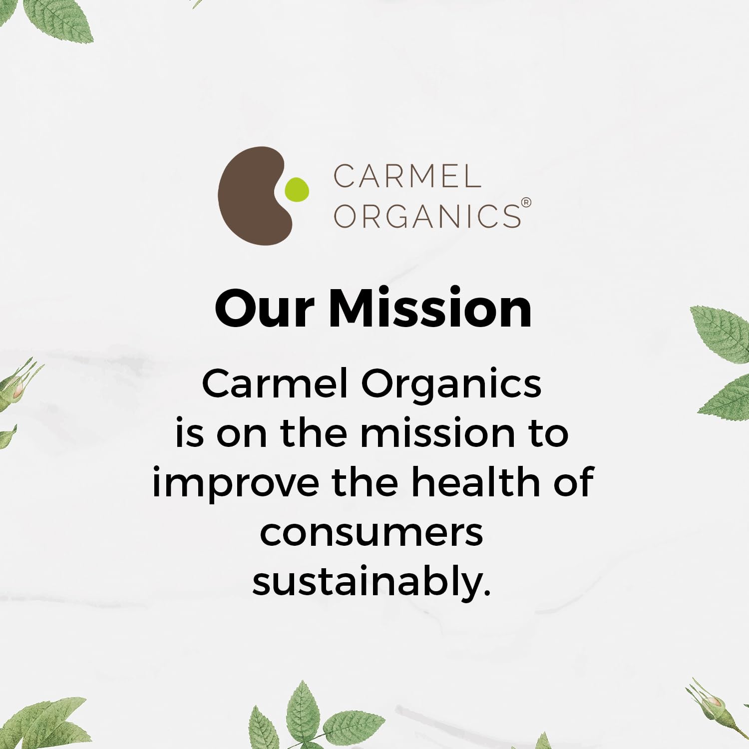 CARMEL ORGANICS Indigo Leaves Patch Test reminder for sensitivity check.