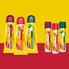 Carmex Wintergreen tube closeup highlighting minty refreshment and protection