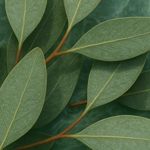 Carpe non-greasy, quick-drying formula leaves skin feeling light.