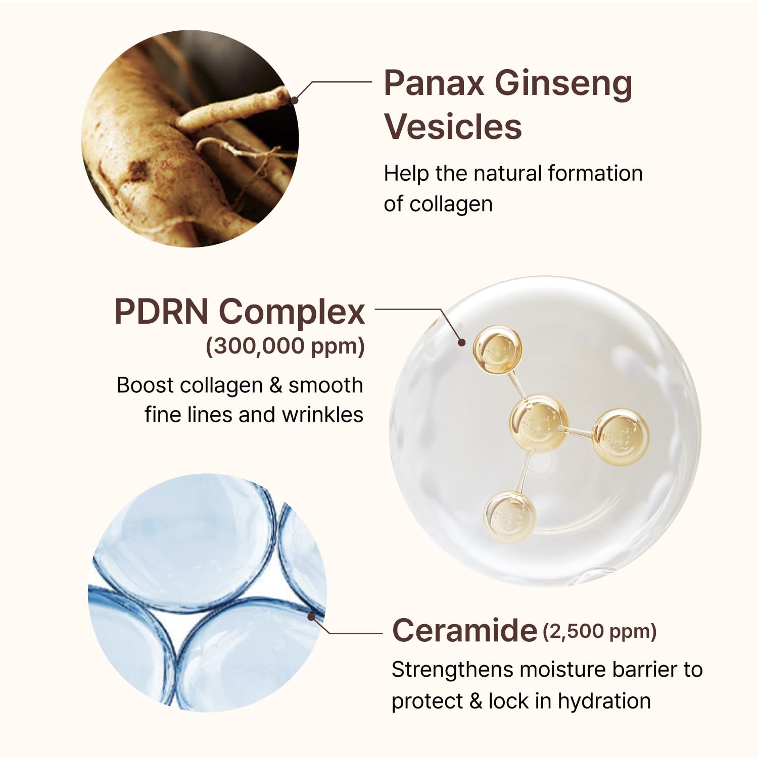 Centellian 24 ampoule close-up highlights ceramide-rich formula for hydration.