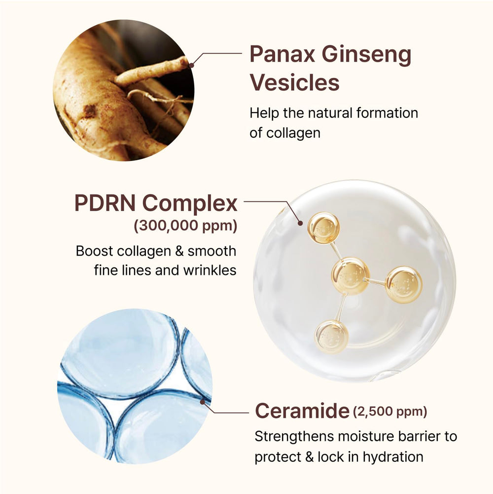 Centellian 24 ampoule close-up highlights ceramide-rich formula for hydration.